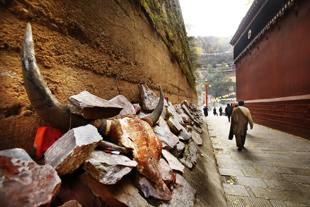 Reportage | Losan Piatti - Fotografo Toscana_Tibet_il_Paese_delle_Nevi_2012_09